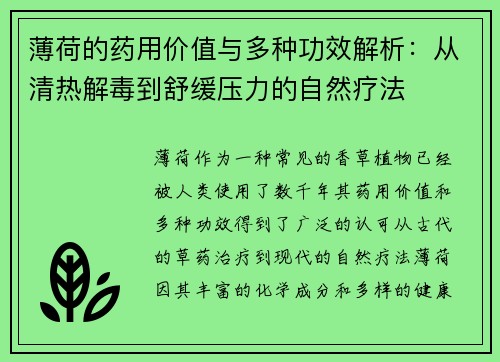 薄荷的药用价值与多种功效解析：从清热解毒到舒缓压力的自然疗法
